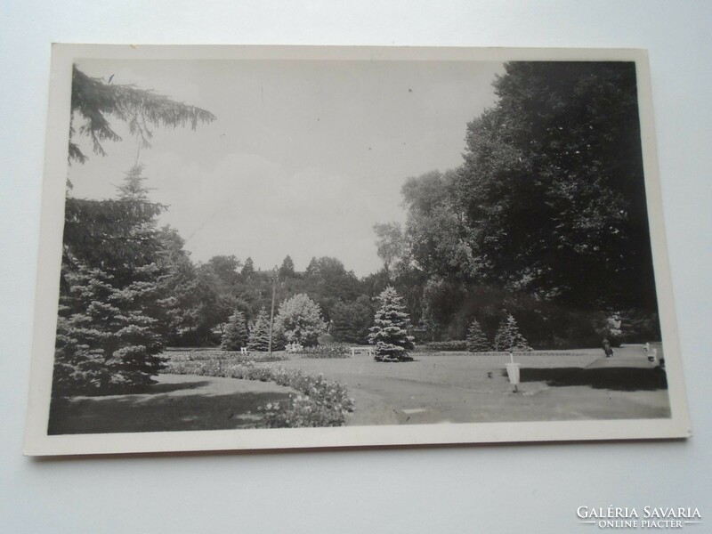 D192386    Régi képeslap -  Görömböly-Tapolca  -Park részlet  Miskolc  1940k  Naszrady