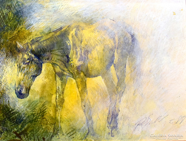 Zoltán Porkoláb (1962-): horse