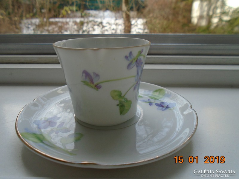 Imperial imperial psl (pfeiffer & lowenstein) violet coffee cup with saucer from the apple series