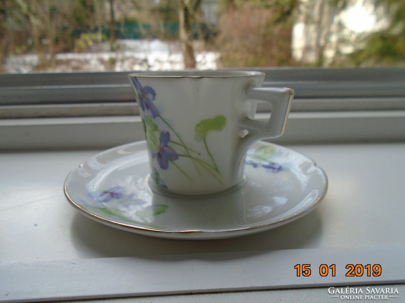 Imperial imperial psl (pfeiffer & lowenstein) violet coffee cup with saucer from the apple series