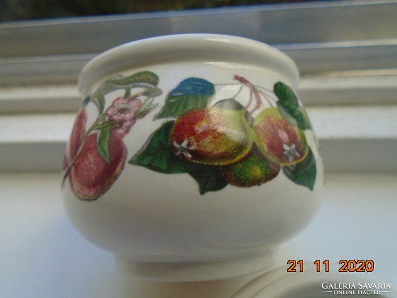 1982 Susan and Williams Ellis designed Pomona goddesses of fruit pattern portmeiron sugar bowl