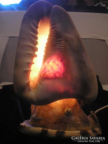 N15 Romantikus Lámpa mélytengeri kagylókból  28 cm csodás színvilágú kb 2-kg-os  hatalmas ritkaság