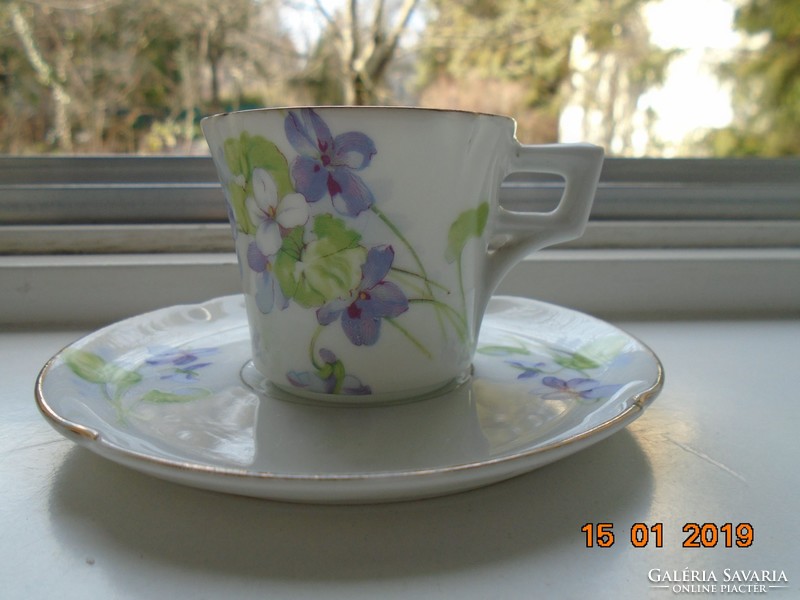 Imperial imperial psl (pfeiffer & lowenstein) violet coffee cup with saucer from the apple series