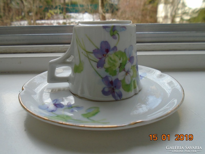 Imperial imperial psl (pfeiffer & lowenstein) violet coffee cup with saucer from the apple series