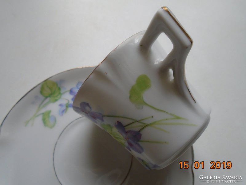 Imperial imperial psl (pfeiffer & lowenstein) violet coffee cup with saucer from the apple series