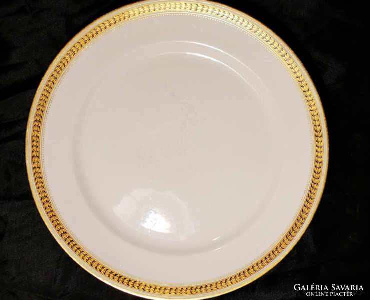 Antique Victorian Cauldon Earthenware Plates