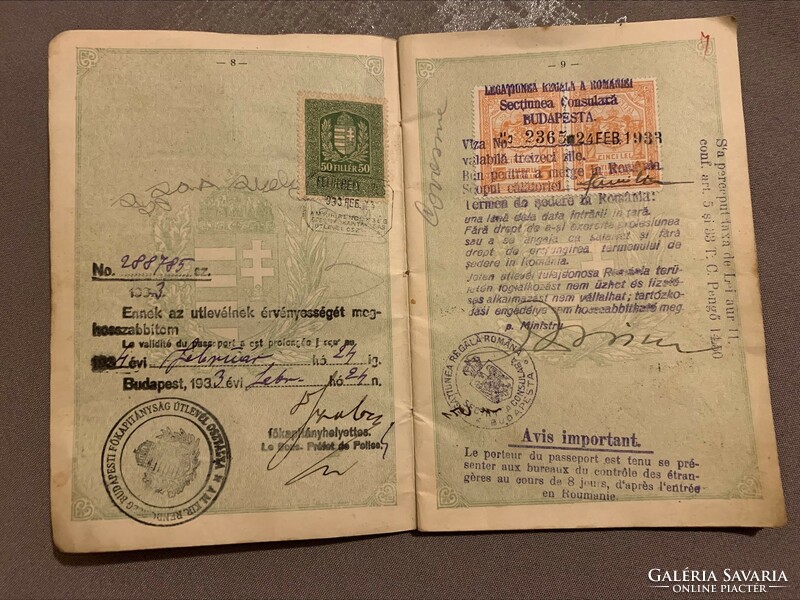 Kingdom of Hungary passport 1924. Transylvania, Romania with stamps
