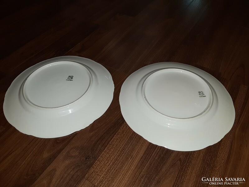 Porcelain plate 2 pcs.