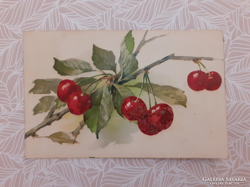 Régi képeslap 1906 növénymintás levelezőlap cseresznye