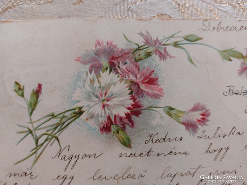 Régi képeslap 1900 levelezőlap virág szegfű
