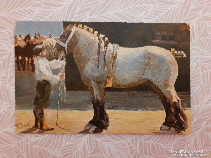 Old postcard equestrian postcard