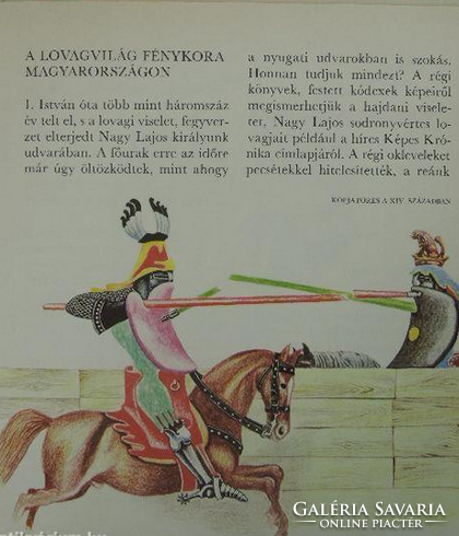 Páncélos lovagok - (Bodor Ferenc-Somogyi Győző)