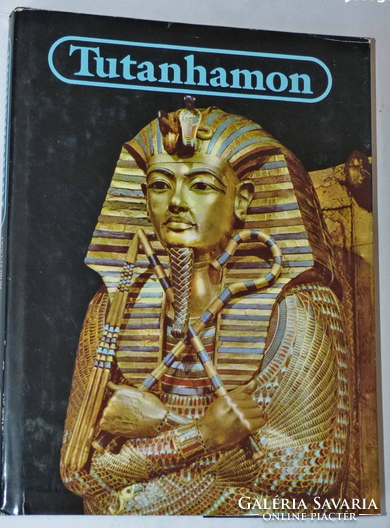 Tutankhamun - the life and death of a pharaoh