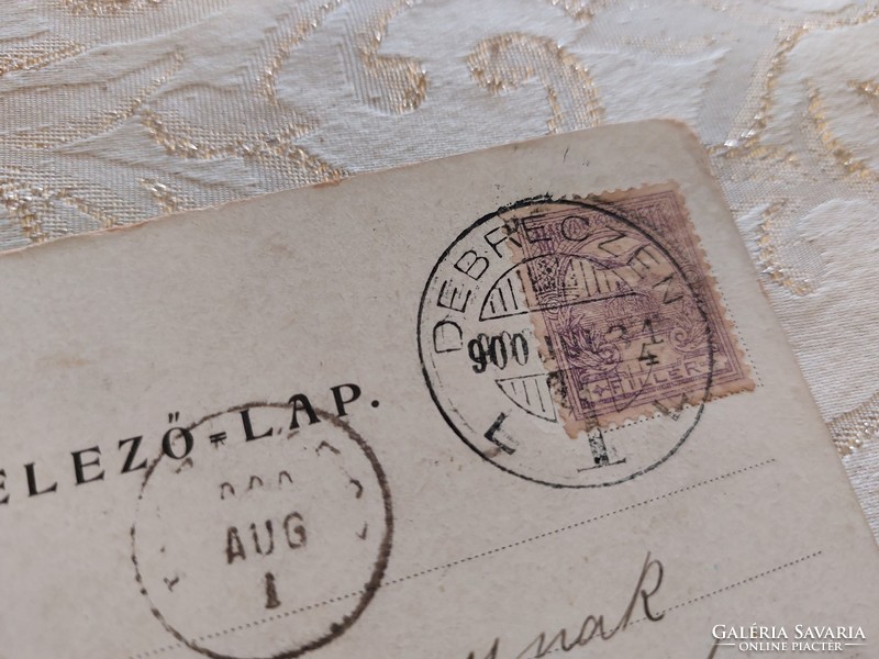 Régi képeslap 1900 levelezőlap virág szegfű