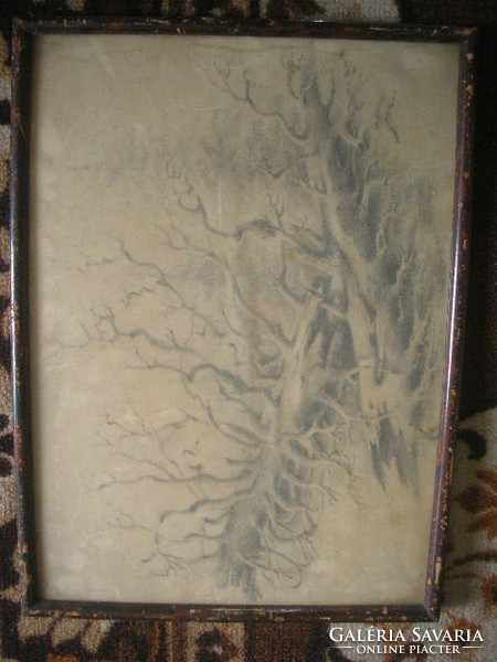 N1 Antik 2 db művészi szénrajz erdőrészlet elől üveglapos 40 x 30 cm 17500 ft/ darabja