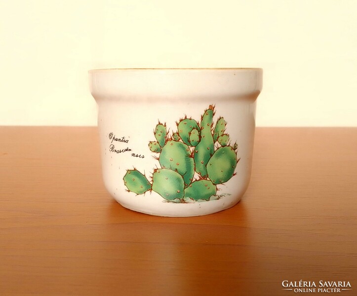 Flower pattern small porcelain flower pot caspo flawless cactus pattern succulent opuntia fig cactus