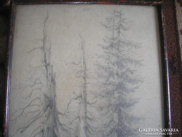 N1 antique 2 pieces of artistic carbon drawing of a forest detail from the front glass plate 40 x 30 cm 17500 ft/piece