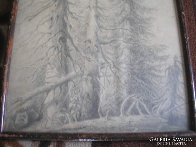 N1 antique 2 pieces of artistic carbon drawing of a forest detail from the front glass plate 40 x 30 cm 17500 ft/piece