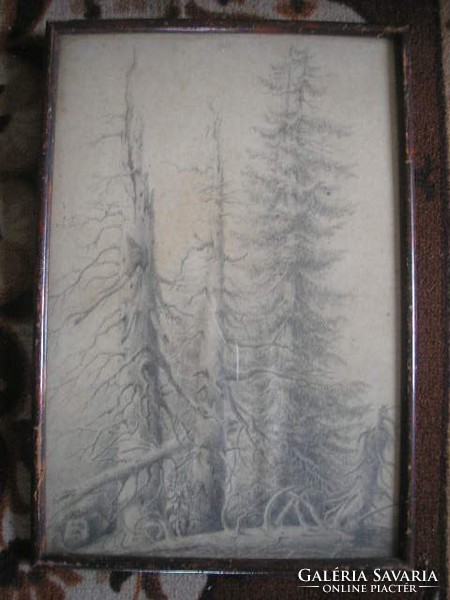 N1 Antik 2 db művészi szénrajz erdőrészlet elől üveglapos 40 x 30 cm 17500 ft/ darabja