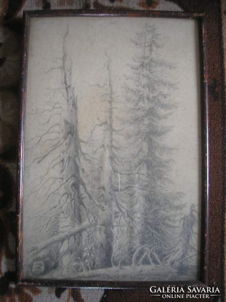 N1 antique 2 pieces of artistic carbon drawing of a forest detail from the front glass plate 40 x 30 cm 17500 ft/piece