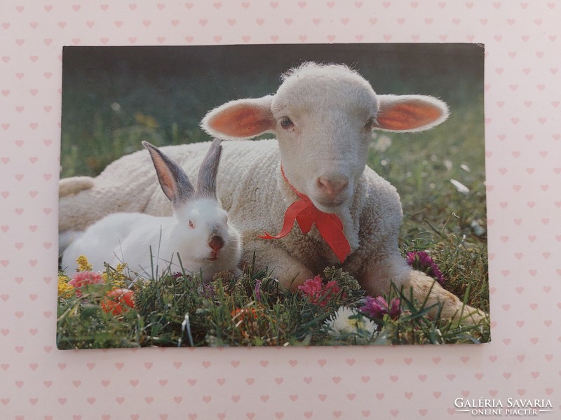 Retro Easter postcard 1990 old photo postcard with bunny lamb