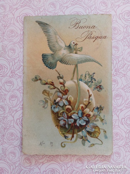 Old Easter postcard vintage postcard pigeon catkin violet egg
