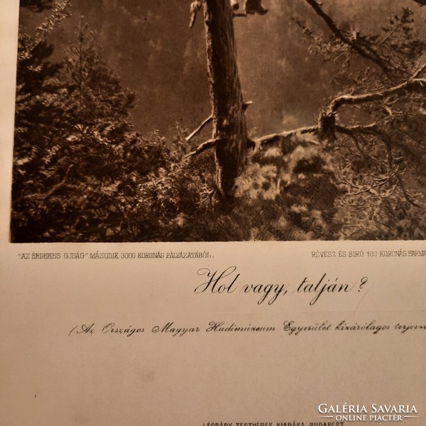 Award-winning war recording published in the album Háborús 4 of the interesting newspaper iv.