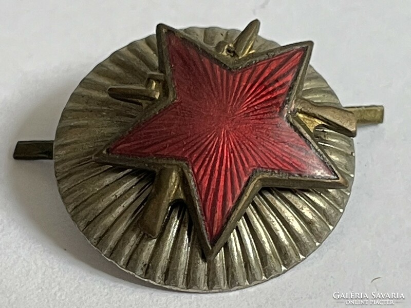 Badge/badge/medal/cap badge