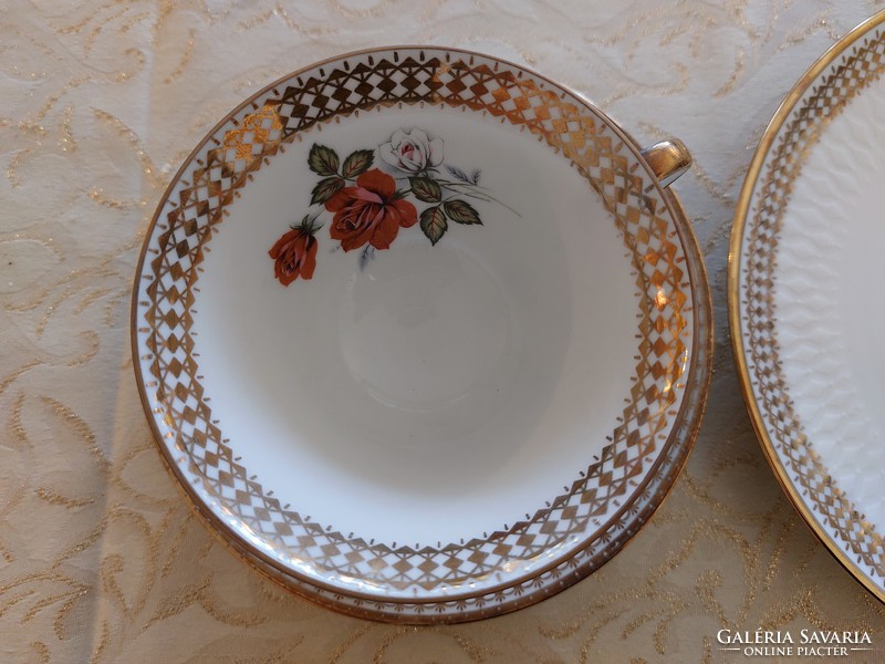 Old bavaria winterling porcelain cup rosy vintage breakfast set 3 pcs