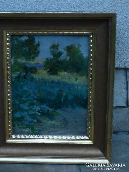 László violinist: at the beginning of summer oil, cardboard painting for sale