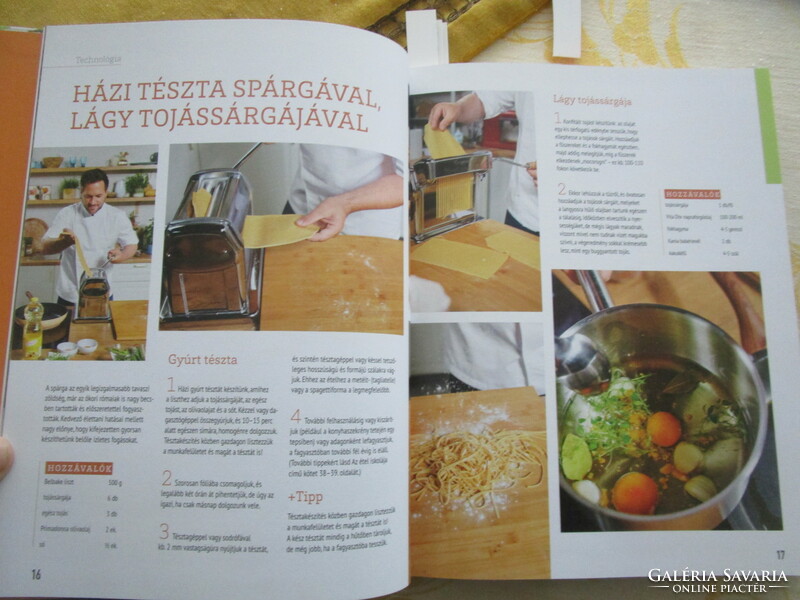 Tamás Széll: dishes and seasons cookbook 2022 modern gastronomy lots of color recordings
