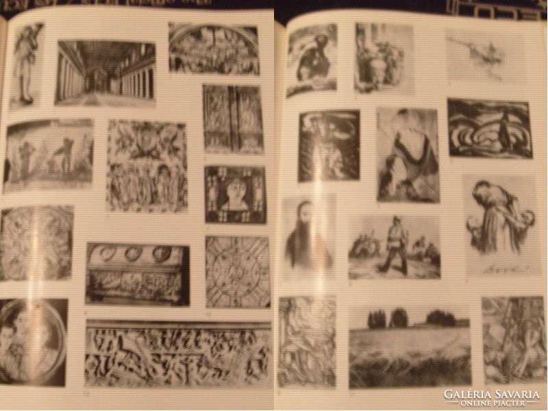 Art book with technical terms for collectors corvina. 402 pages