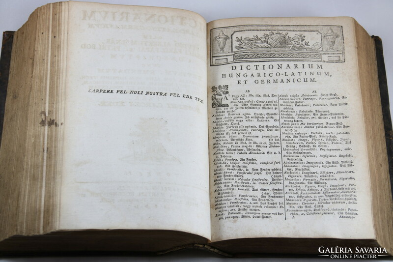 1801 Pápai Paris Franciscan dictionary in a unique decorative leather binding, a beautiful piece!!