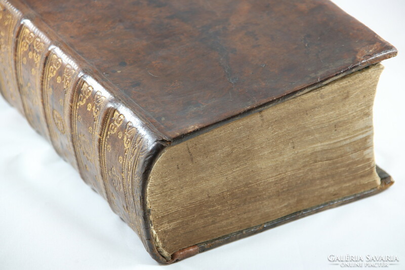 1801 Pápai Páriz Ferenc szótára egyedi díszes bőrkötésben Gyönyörű darab !!