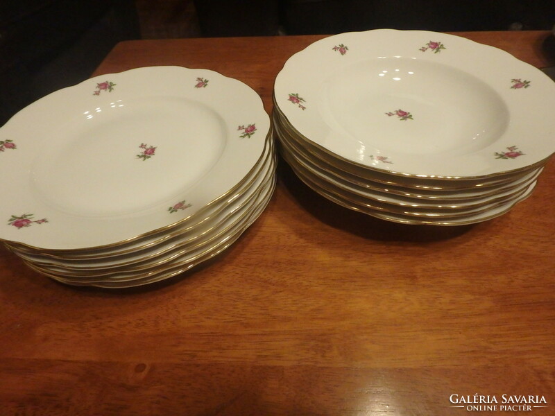 Porcelain plates