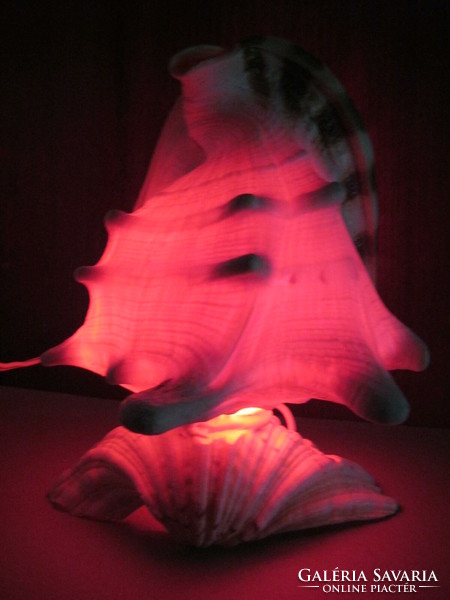 Tengeri kagyló lámpa nagy méretű 24 cm