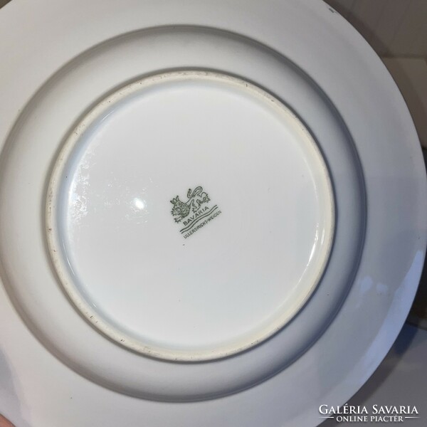 9 Bavarian German porcelain plates and serving dishes for sale