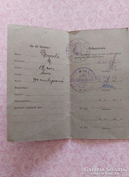 Old document 1951 vaccination certificate