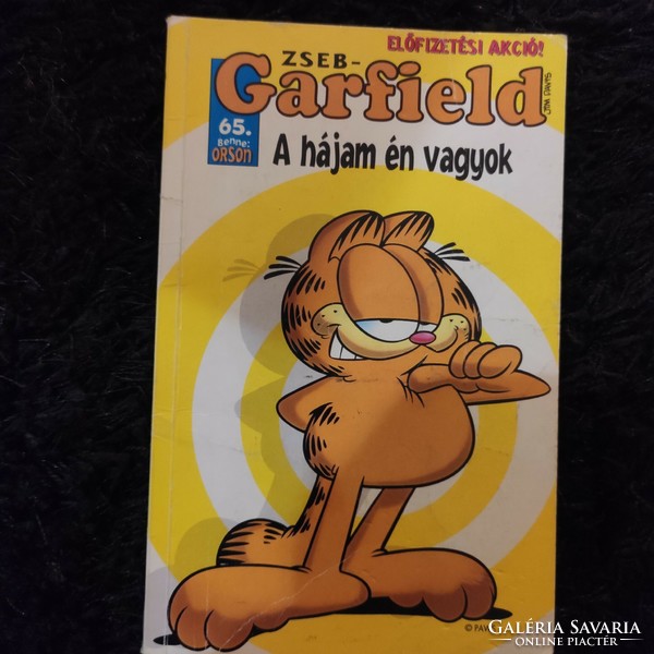 Garfield comic 65. My fat is me