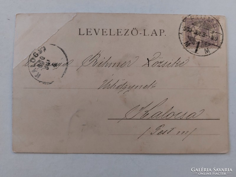 Régi képeslap 1900 levelezőlap tollasozó hölgy