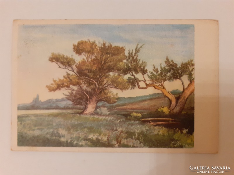 Old postcard 1954 landscape lithography postcard