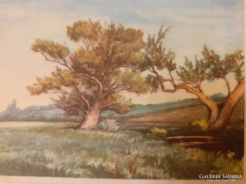 Old postcard 1954 landscape lithography postcard