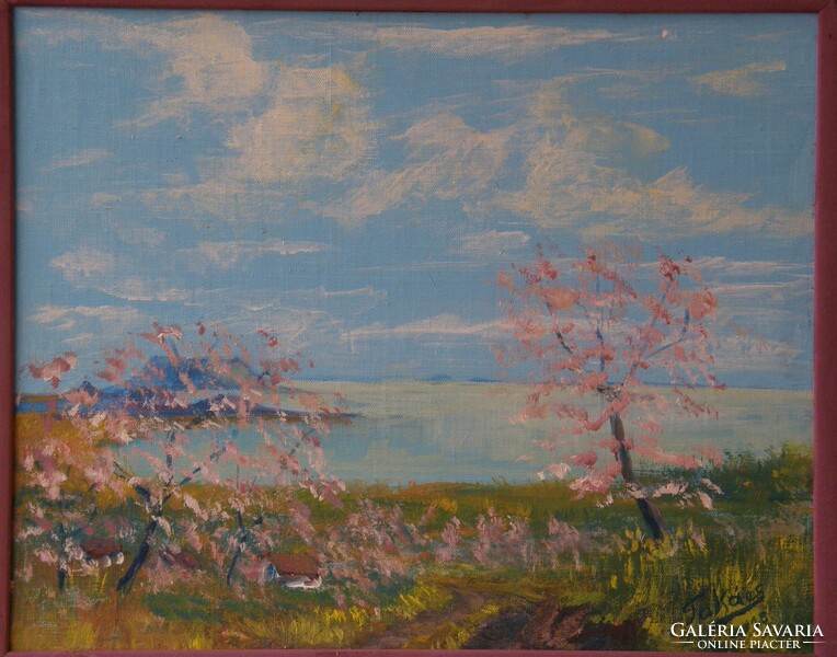 Ferdinand Weaver: almond tree flowering