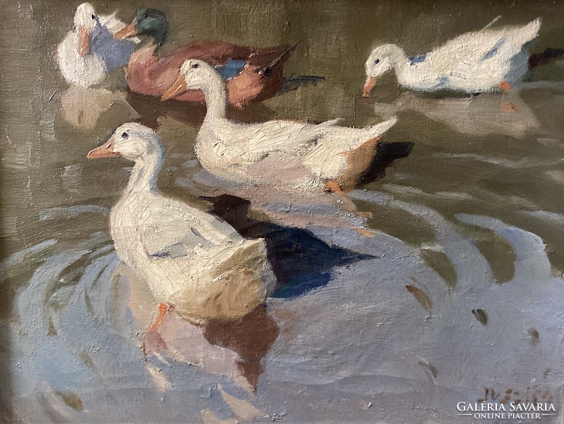 Béla Juzkó - ducks