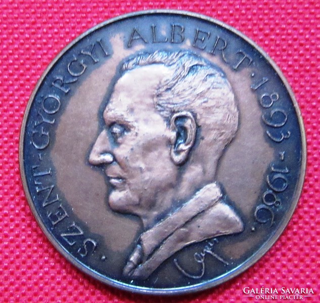 MÉE bronz emlékérem 1987 Szentgyörgyi Albert 42,5 mm./Lapis/