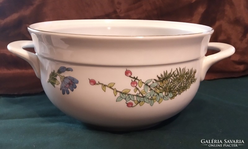 Henneberg German porcelain soup bowl, 21 cm, botanica, herbal medicine, herba pattern