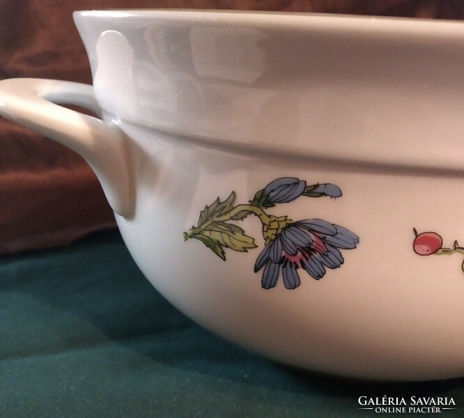 Henneberg German porcelain soup bowl, 21 cm, botanica, herbal medicine, herba pattern