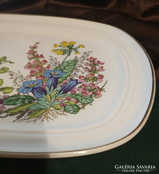 Henneberg German porcelain bowl, 35 cm, botanica, medicinal herb, herba pattern