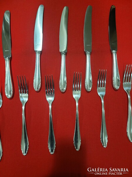 Gravuris silver alloy 12-person cutlery set