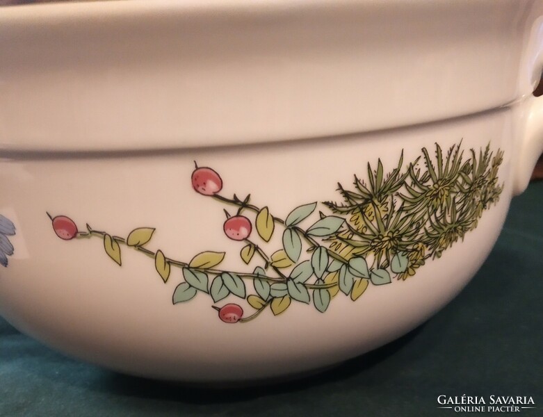 Henneberg German porcelain soup bowl, 21 cm, botanica, herbal medicine, herba pattern